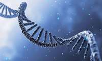 بررسی بیان ژن رسپتور آندروژن و lncRNA های پایین دست و بالادست آن در خون بیماران مبتلا به هایپرپلازی خوش خیم پروستات و سرطان پروستات
