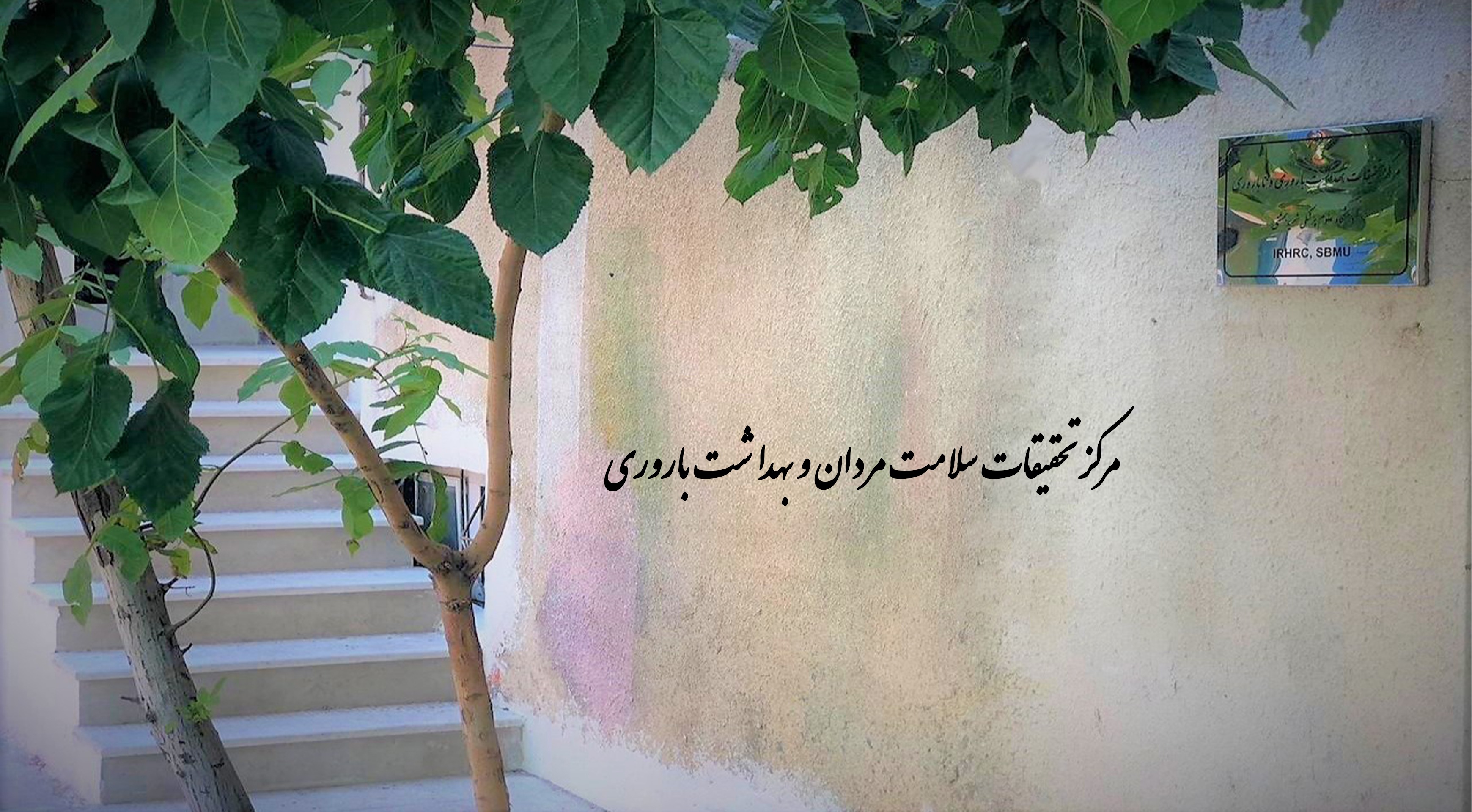 شبکه بهداشت صفرزاده